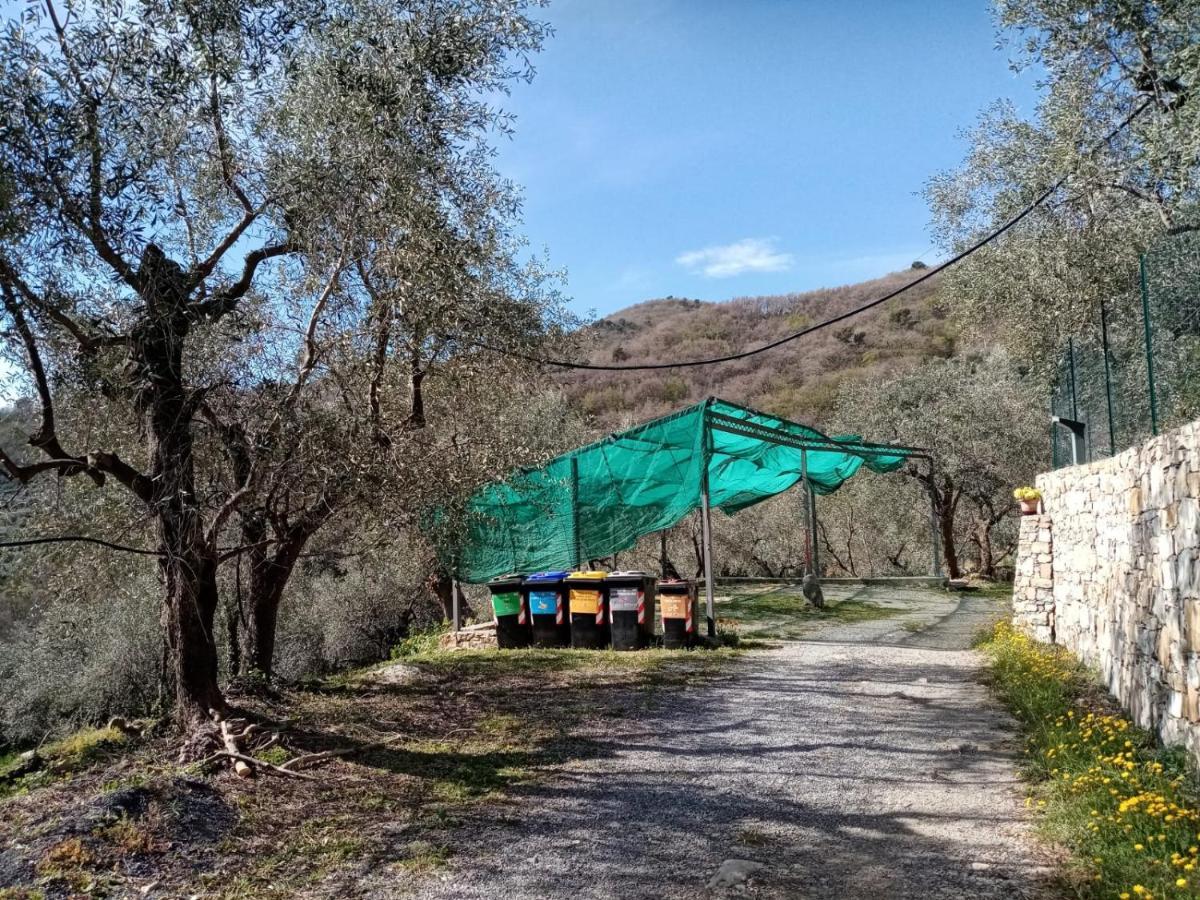 شقة Agrisport Ca Di Cuni Roncagli المظهر الخارجي الصورة