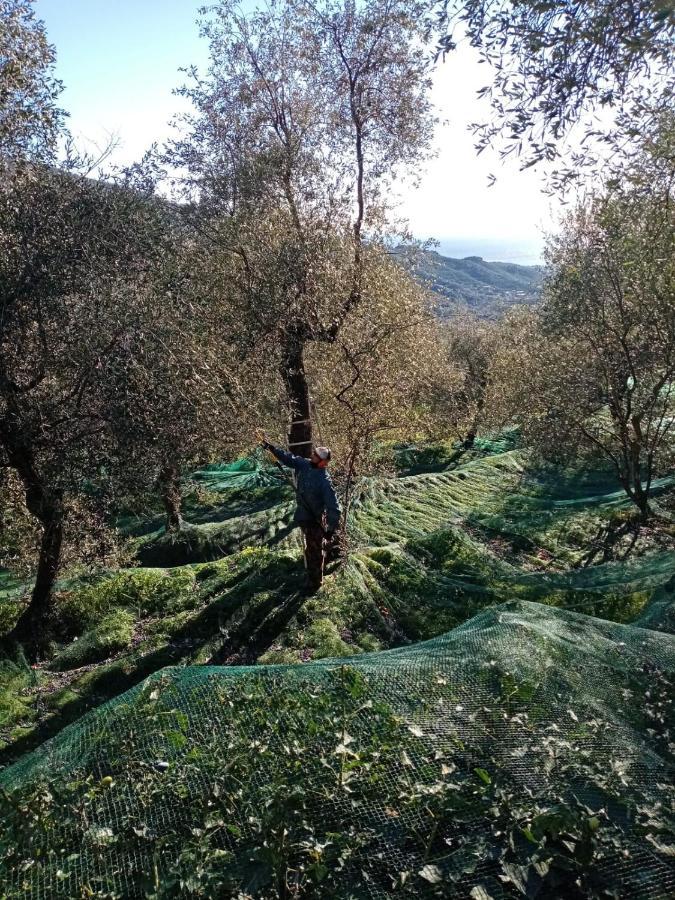 شقة Agrisport Ca Di Cuni Roncagli المظهر الخارجي الصورة